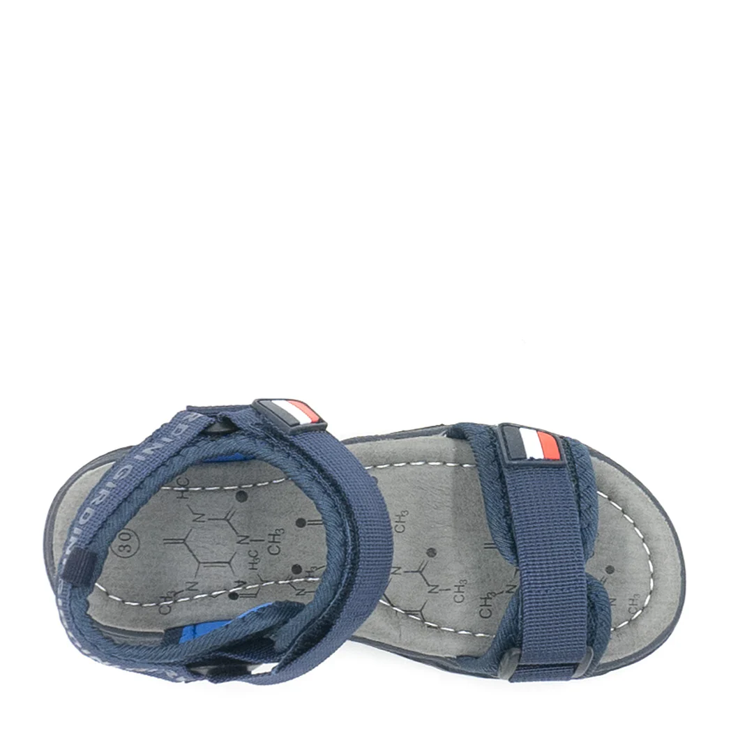 תמונה ממוזערת 13