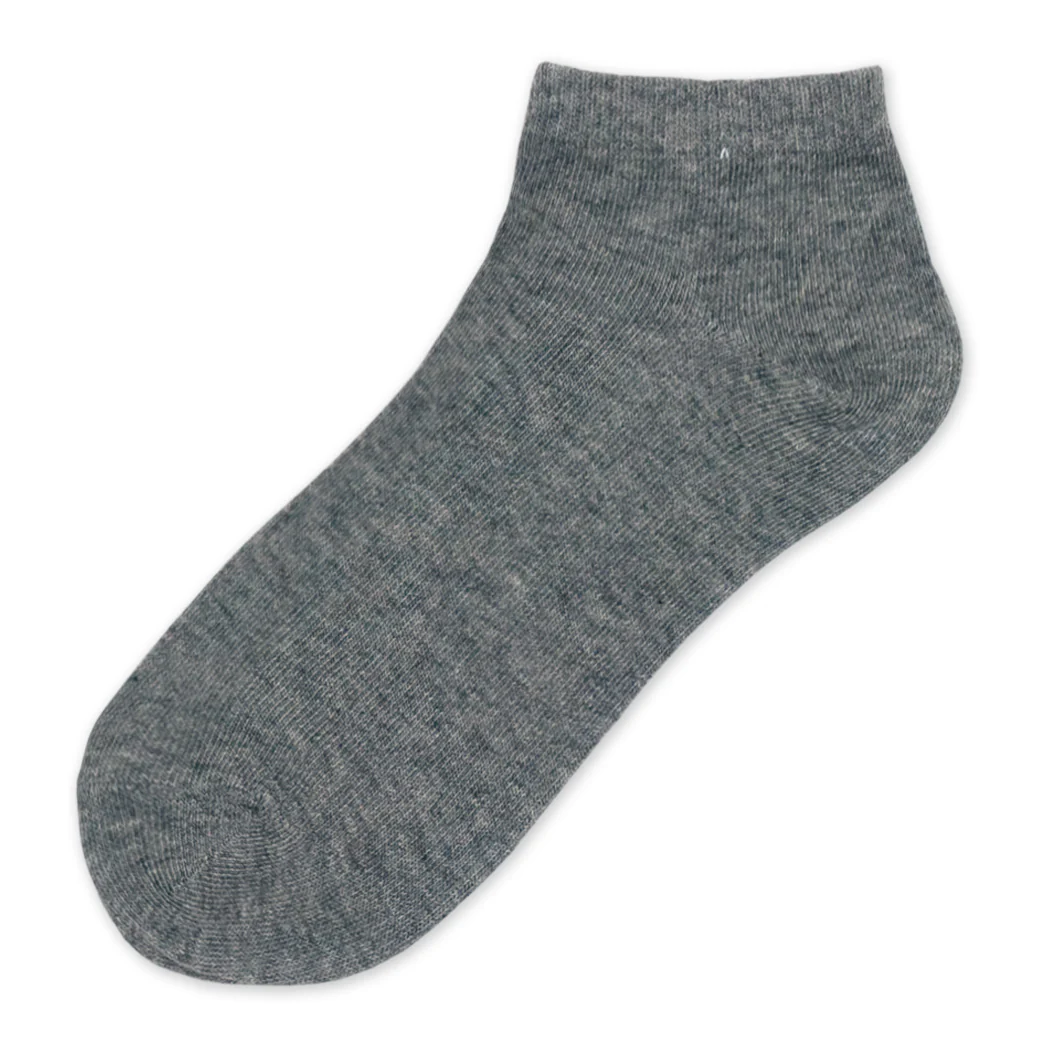 תמונה ממוזערת 19