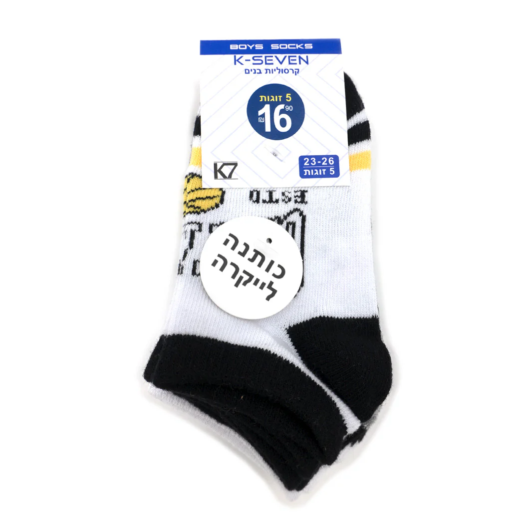תמונה ממוזערת 19